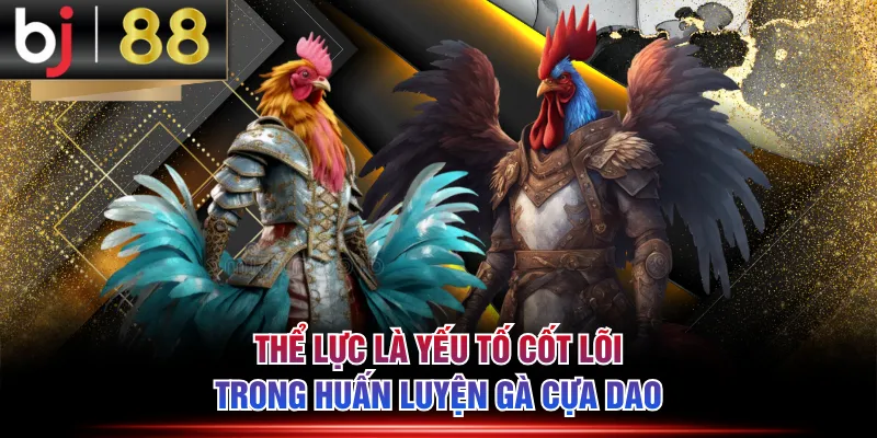 Thể lực là yếu tố cốt lõi trong huấn luyện gà cựa dao